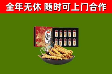田阳区回收冬虫夏草价格