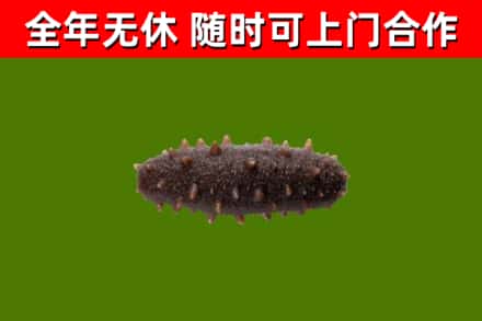 田阳区烟酒回收干海参.jpg
